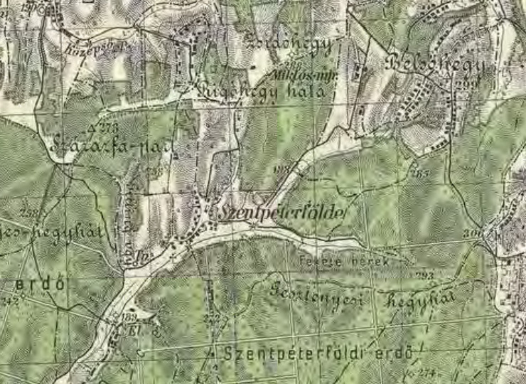 Kép 1